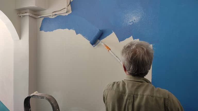 Best Water-Damaged Drywall Repair  in Maple Park, IL